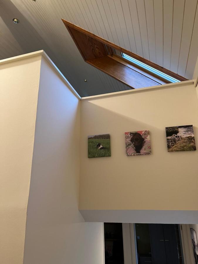 Appartamento Pentland View Croft With A Sea View Melvich Esterno foto